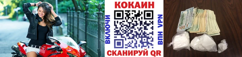 мега tor  Снежногорск  Кокаин VHQ  где продают  