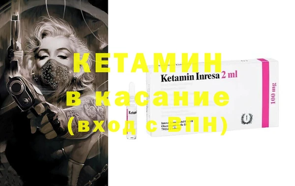 стаф Аркадак