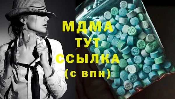 стаф Аркадак